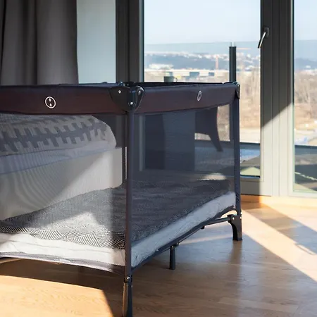 Appartement Elegant Karlin | Terrace & Parking Prague